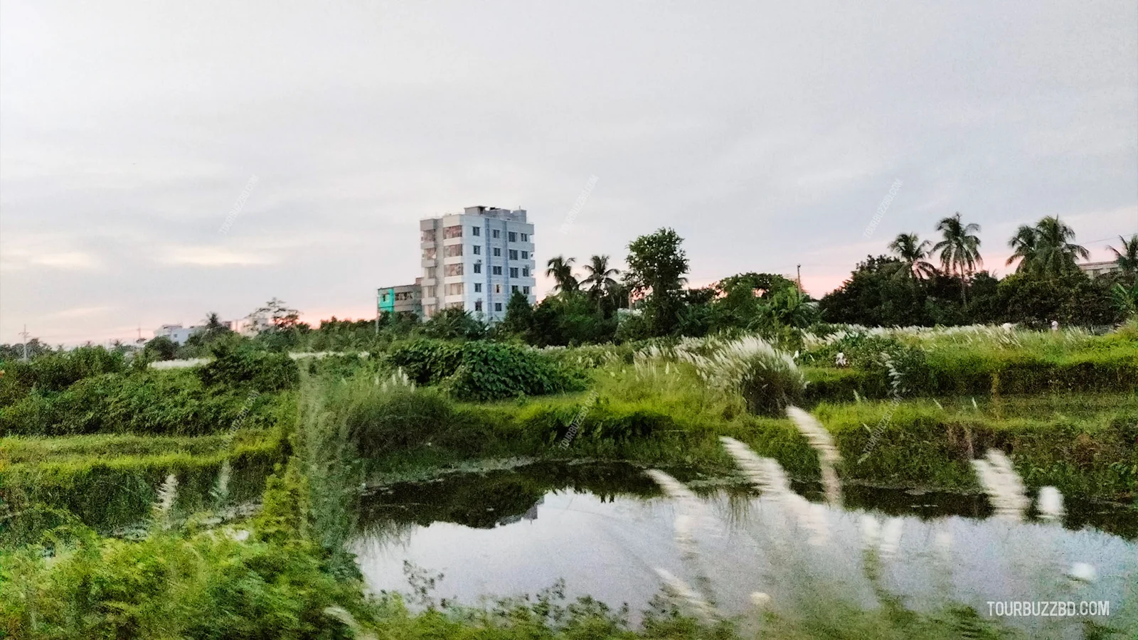Rajshahi-University-36